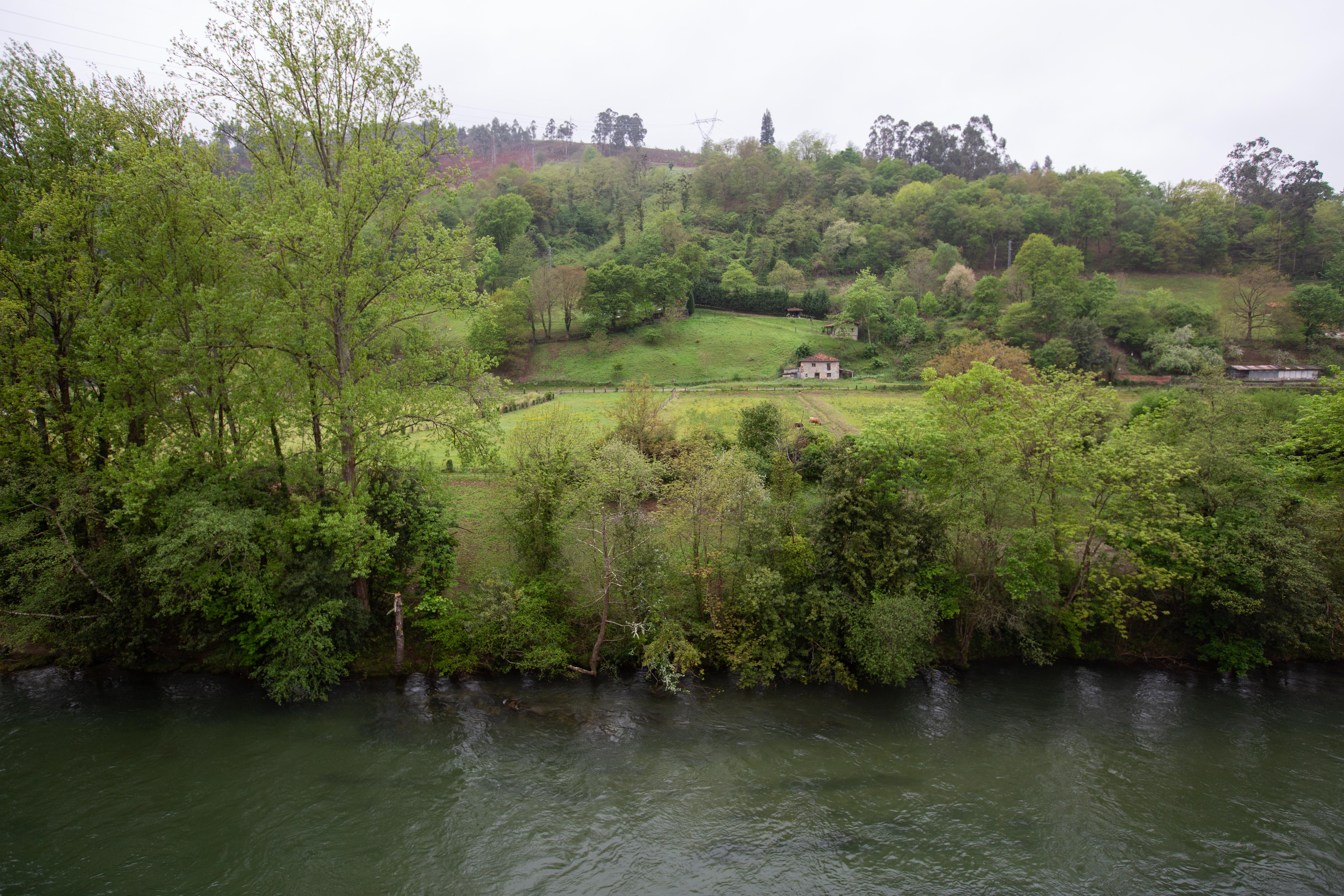 Hotel Ciudad Onís Dış mekan fotoğraf